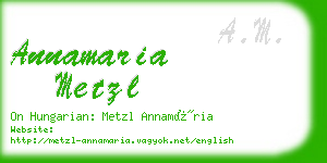 annamaria metzl business card